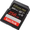 SanDisk Extreme PRO SDXC 256GB UHS-I/U3/C10 (SDSDXXD-256G-GN4IN/121597)