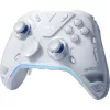 Flydigi Apex 5 Bluetooth / USB / vezeték nélküli gamepad játékvezérlő szürke
